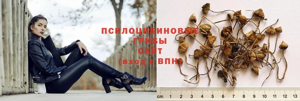 прущий лед Балабаново