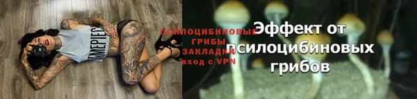 трава Баксан