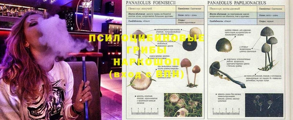 прущий лед Балабаново