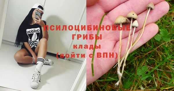 трава Баксан